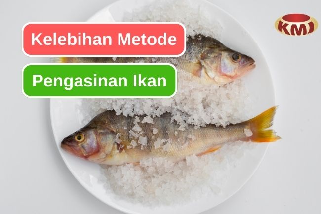 5 Kelebihan Metode Pengasinan Untuk Pengawetan Ikan